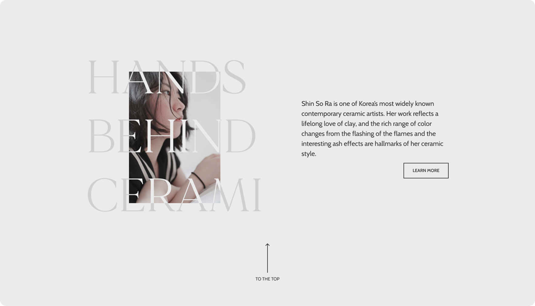 Cerami about artist view